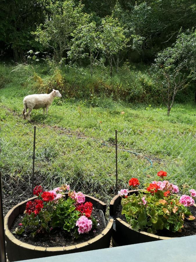 La Pandela Country house *