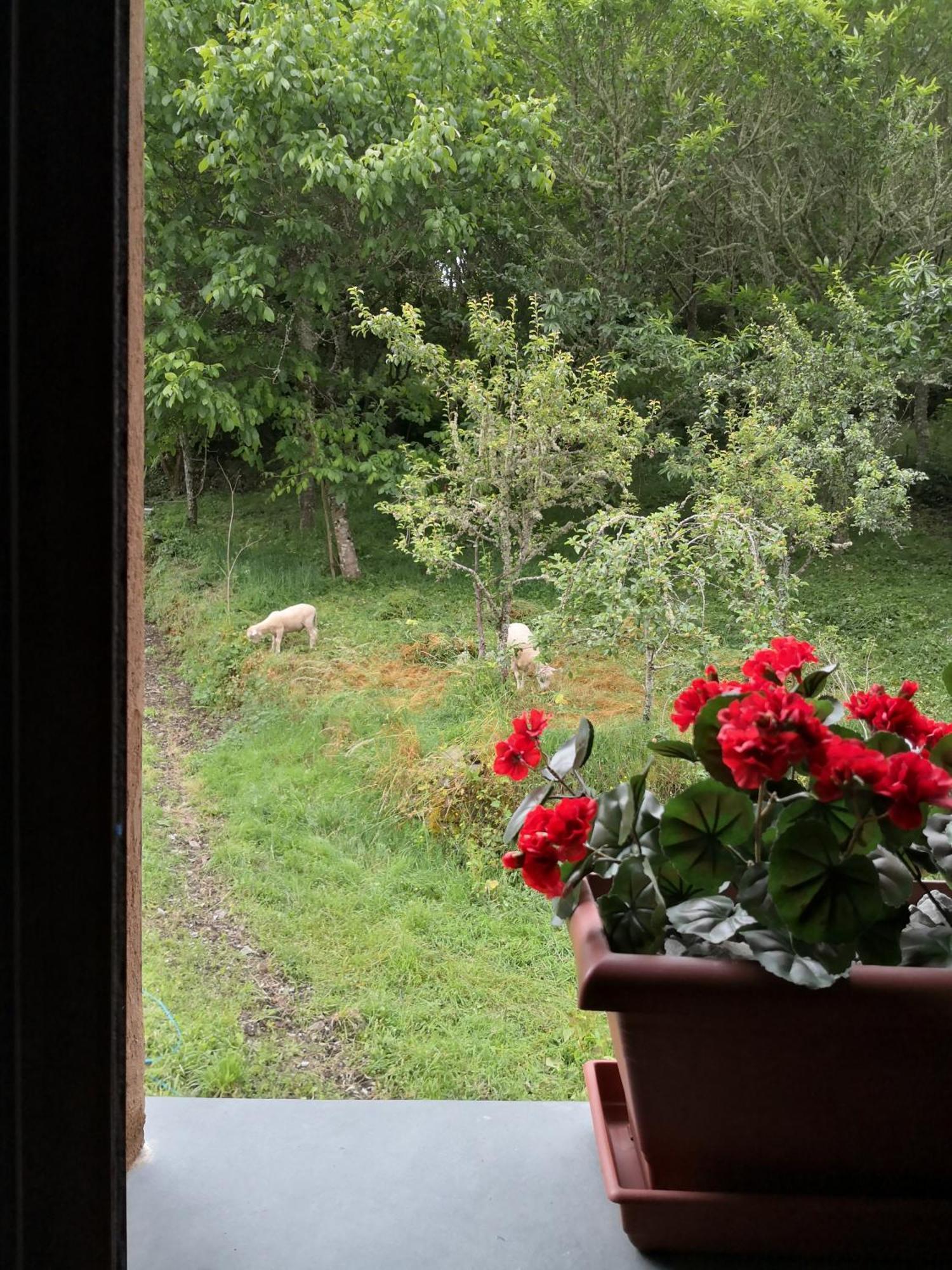 Country house La Pandela *